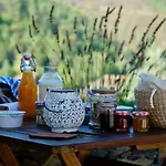 Quinta Levadas - & Nature Country house Alvoco das Varzeas