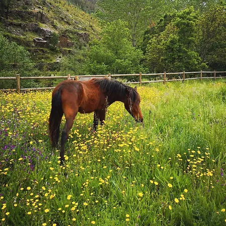 Quinta Levadas - & Nature * Alvoco das Varzeas