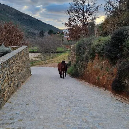 Hétvégi ház Quinta Levadas - & Nature Alvoco das Várzeas