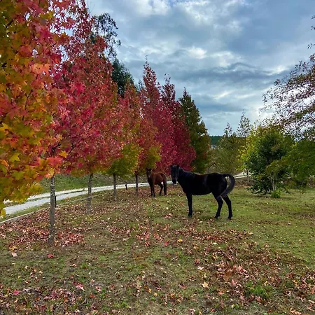 Kır Evi Quinta Levadas - & Nature *