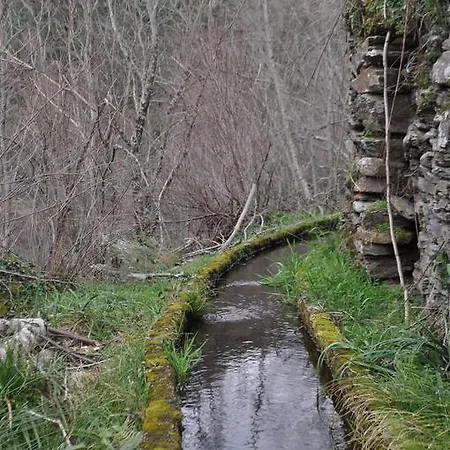 Quinta Levadas - & Nature *