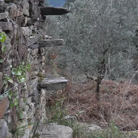 Quinta Levadas - & Nature Alvoco das Varzeas