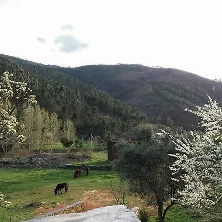 Quinta Levadas - & Nature Alvoco das Varzeas