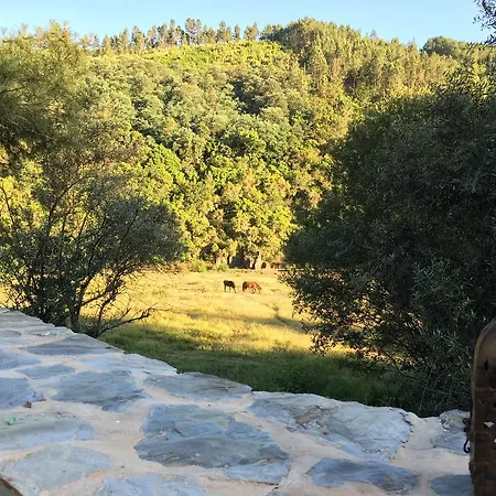 Quinta Levadas - & Nature Kır Evi *