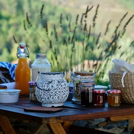 Quinta Levadas - & Nature Kır Evi Alvoco das Várzeas