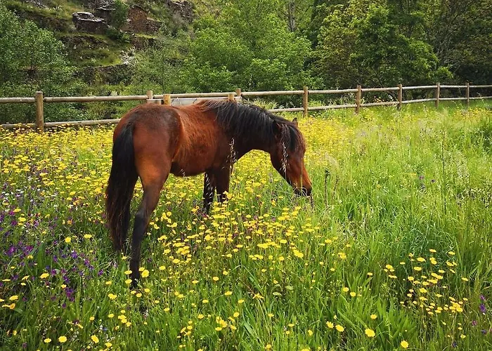Quinta Levadas - & Nature * Alvoco das Várzeas