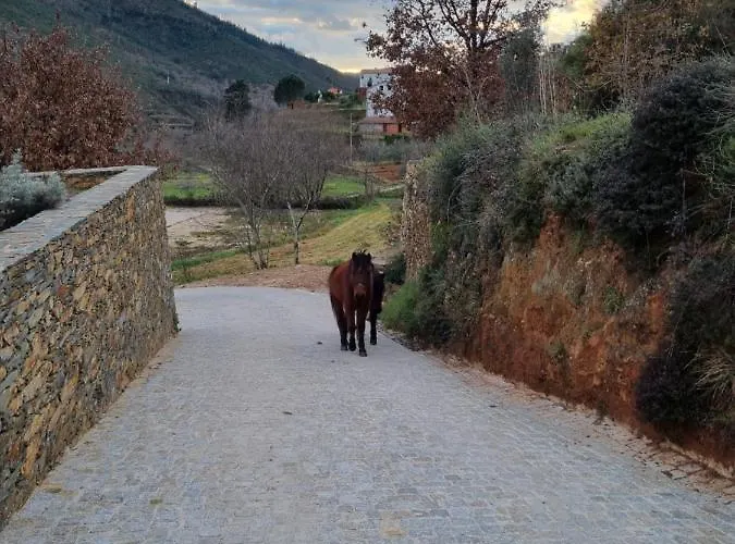 Casa de Campo Quinta Levadas - & Nature Alvoco das Várzeas