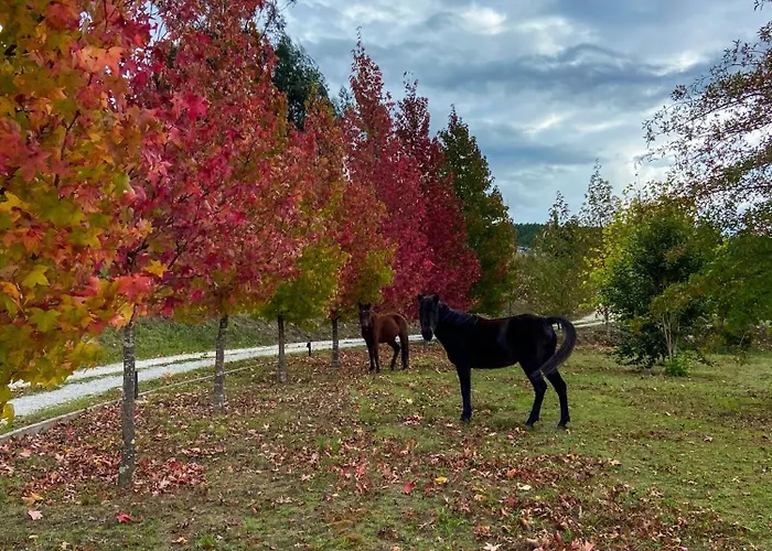 منزل ريفي Quinta Levadas - & Nature *