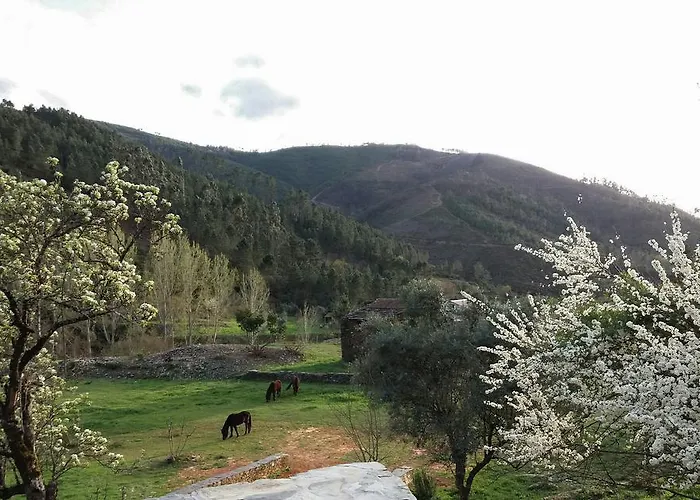 Quinta Levadas - & Nature Alvoco das Várzeas