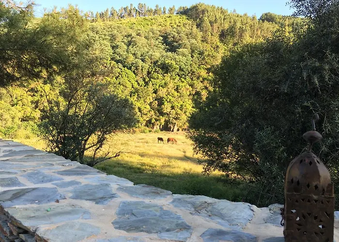 Quinta Levadas - & Nature Casa de Campo *