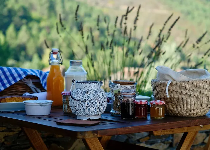 Quinta Levadas - & Nature منزل ريفي Alvoco das Várzeas